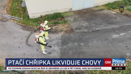 ZPRÁVY Z REGIONŮ - 13.11. v 16:55