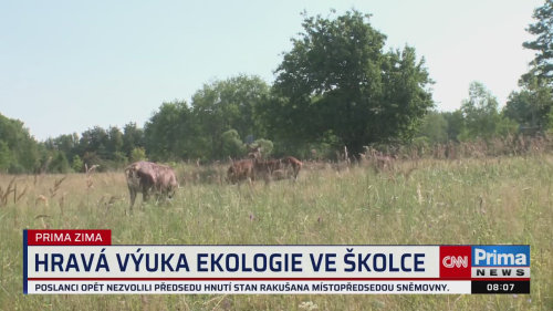 NOVÝ DEN, 29.1. v 08:00