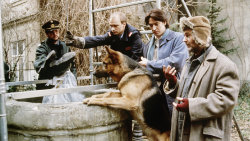 Komisař Rex