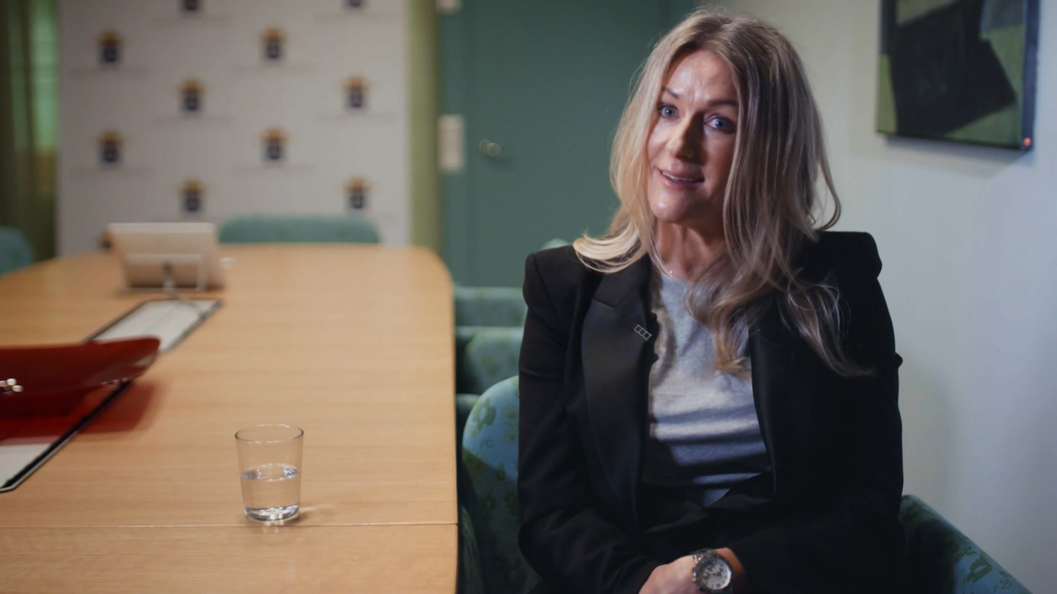 Náhled videa