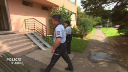 Policie v akci