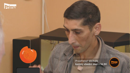 Uražený Vojta - Prostřeno! S30 (155)