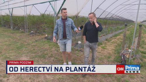 Prima ROK, 15.11. v 17:35