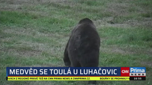 ZPRÁVY Z REGIONŮ - 6.6. v 16:55