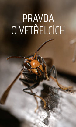 Pravda o vetřelcích