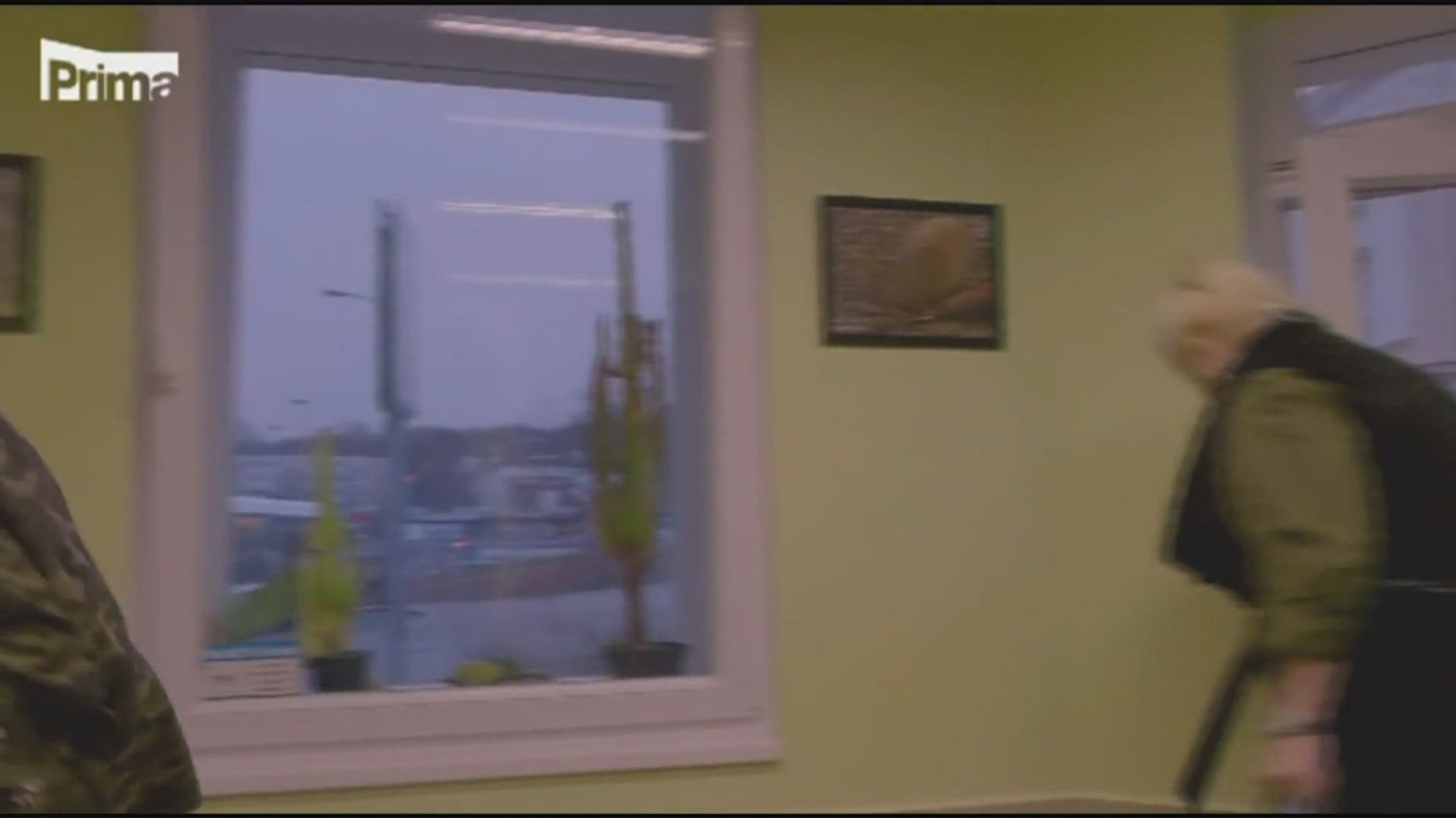 Náhled videa