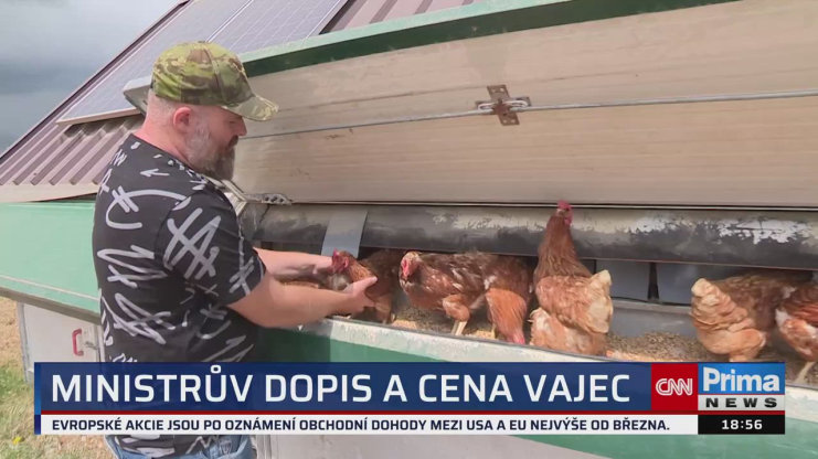 Náhled videa