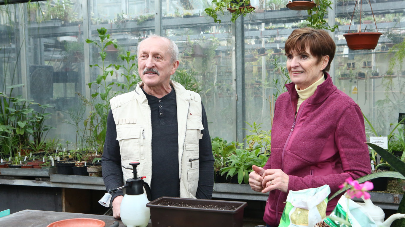 O škůdcích pokojových rostlin, výsev rajčat, zázračný úklid podle Marie Kondo, topení pomocí pelet,