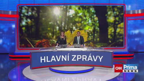 Podzimní listí poškozuje auta