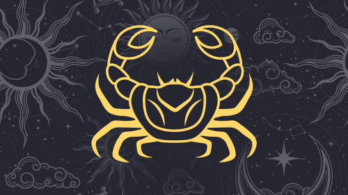 RAK – listopad 2025