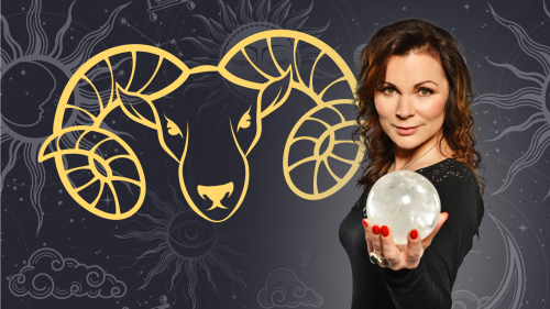 BERAN – týden 23.2. – 01.3.2026