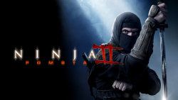 Ninja 2: Pomsta