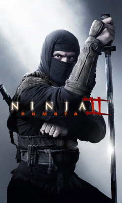 Ninja 2: Pomsta