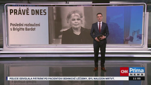 ZPRÁVY, 7.1. v 11:00