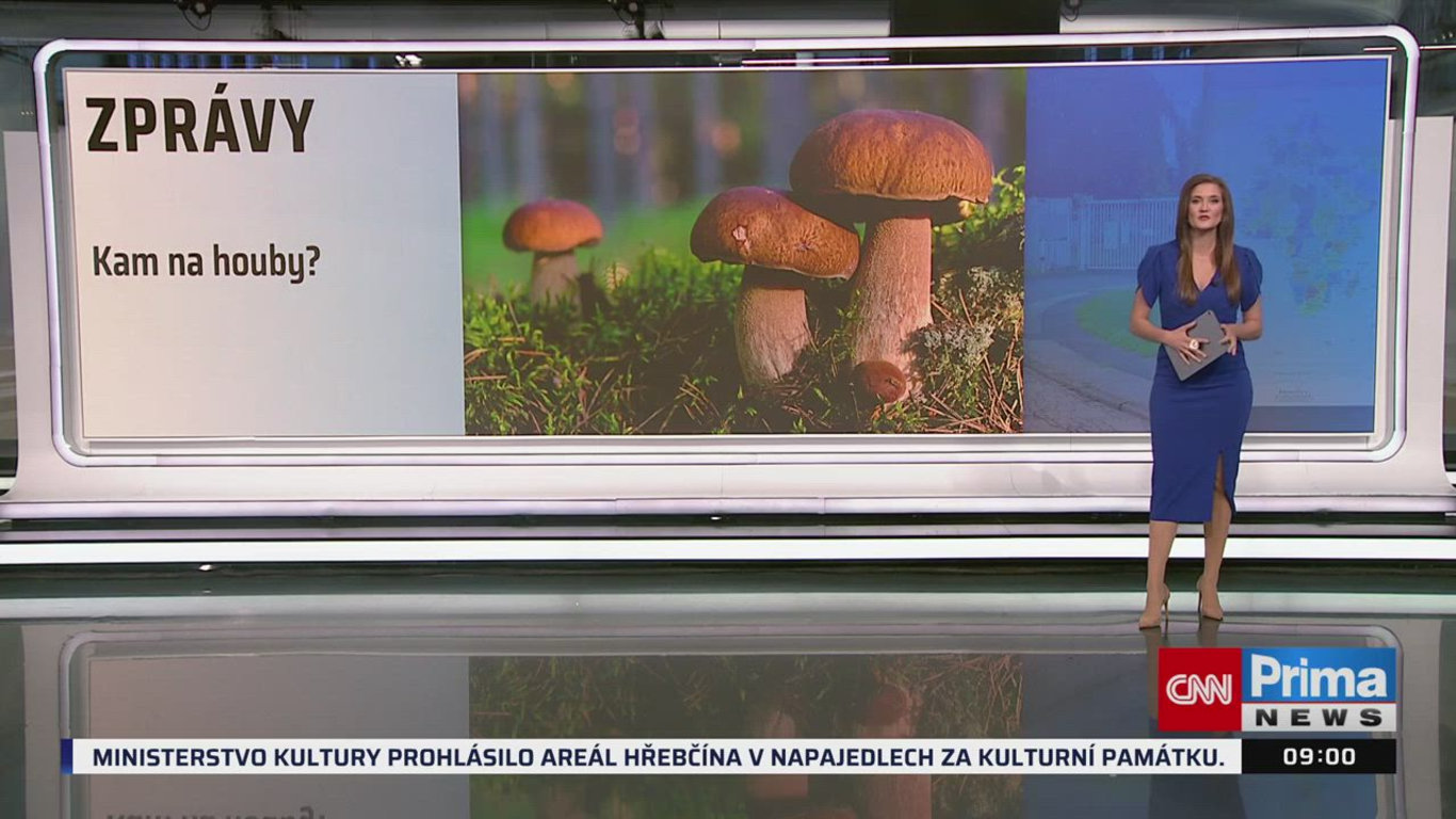 ZPRÁVY, 5.9. v 09:00