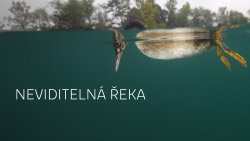 Neviditelná řeka