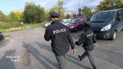 Policie v akci