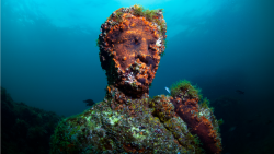 Katastrofy v přímém přenosu