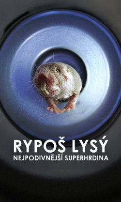 Rypoš lysý: Nejpodivnější superhrdina