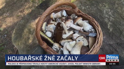 ZPRÁVY Z REGIONŮ, 12.9. v 16:55