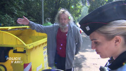 Policie v akci
