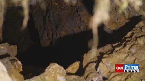 Prima ČESKO, 25.1. v 08:25