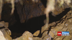 Prima ČESKO, 25.1. v 08:25