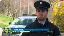 Policie v akci