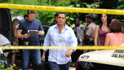 Slunečno, místy vraždy