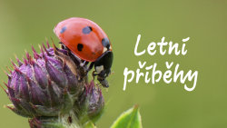Letní příběhy