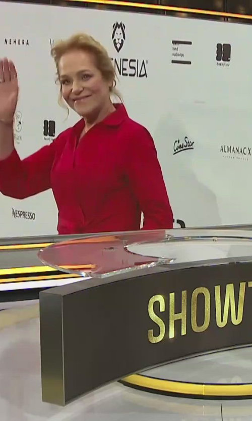 Český lev 2026: Hvězdy a jejich outfity na červeném koberci