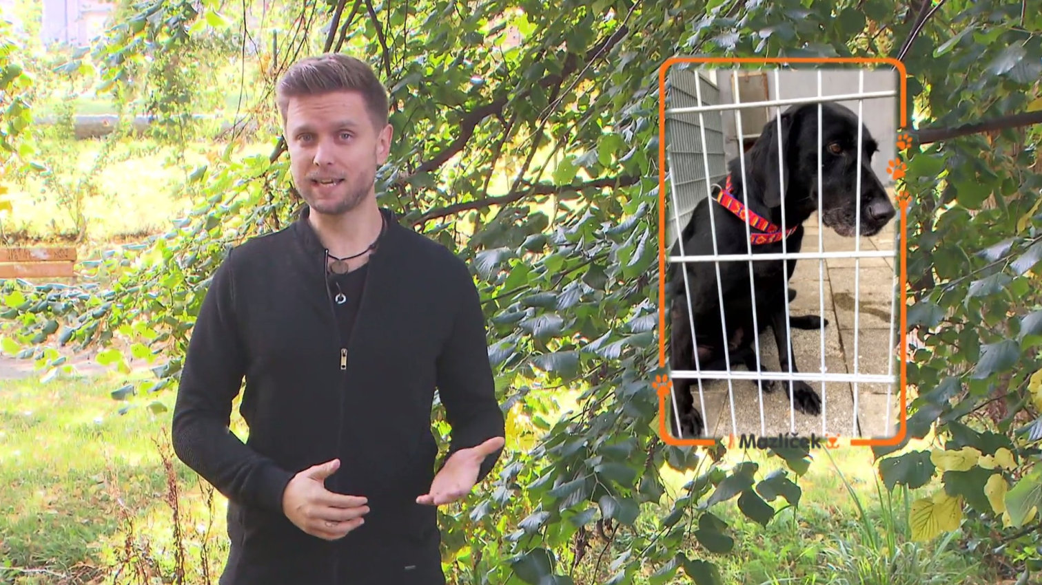 Náhled videa