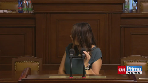 Ferčíková Konečná křičela na Metnara během interpelací