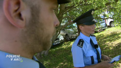 Policie v akci