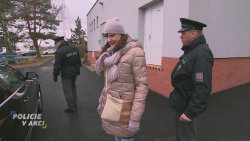 Policie v akci