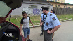 Policie v akci