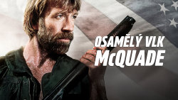 Osamělý vlk McQuade