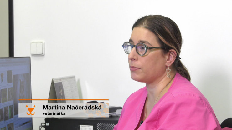 Náhled videa