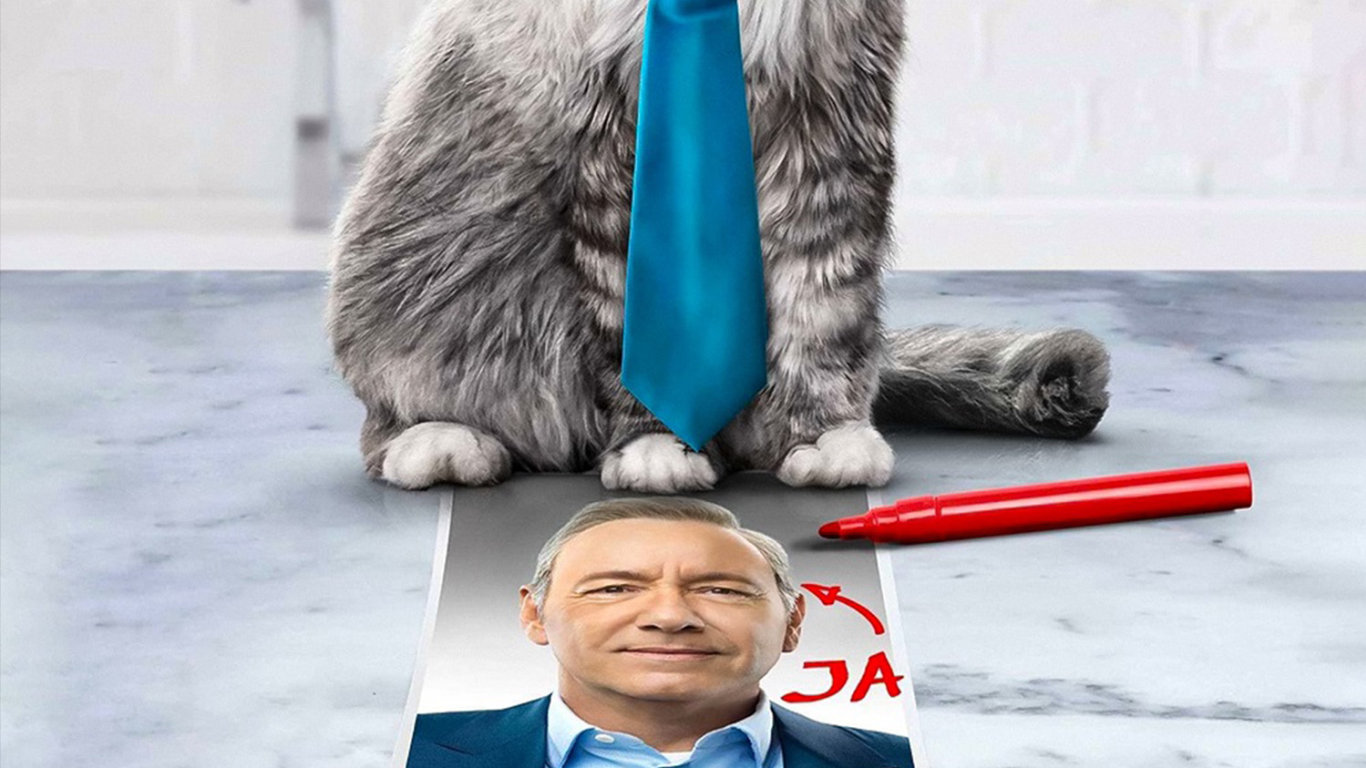 Já, kocour