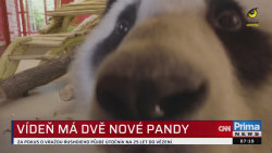 Počasí 17. května 2025