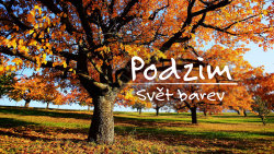 Podzim: Svět barev