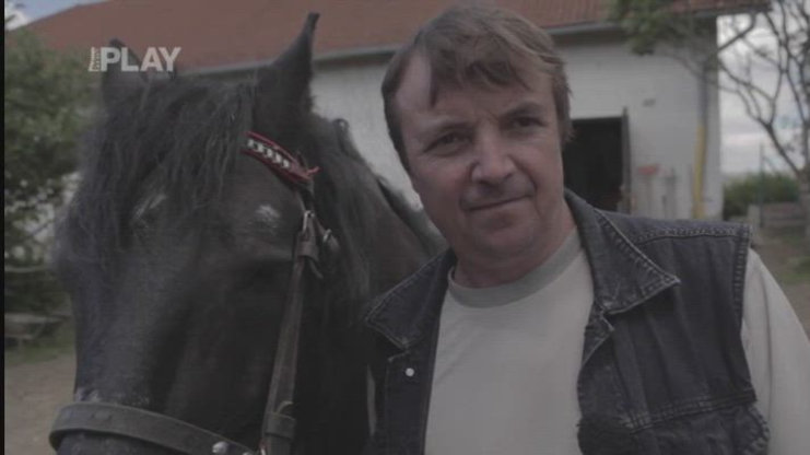 Náhled videa