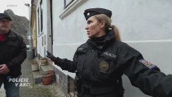 Policie v akci