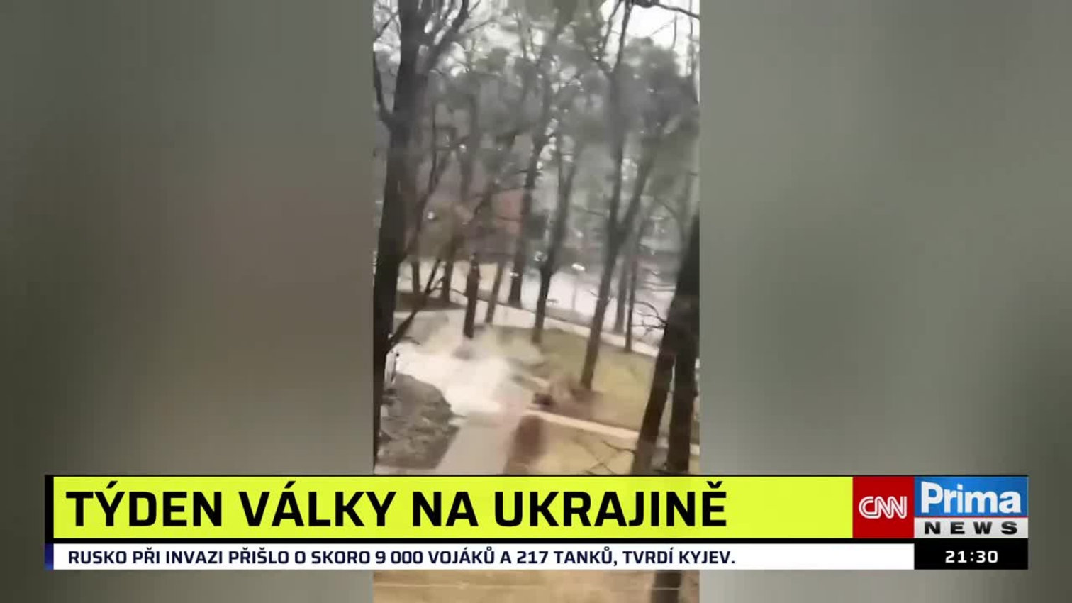 Náhled videa