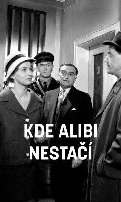 Kde alibi nestačí
