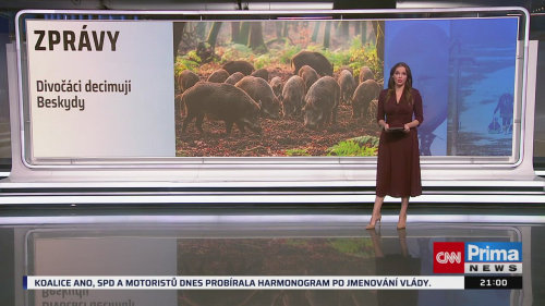 ZPRÁVY, 8.12. v 21:00