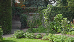 Zahradnice po ruce S1 (16)