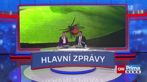 Pozor na klíšťata u psů, příznaky mohou být nenápadné