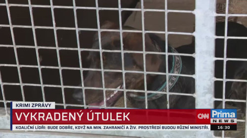 KRIMI ZPRÁVY, 16.2. v 16:30