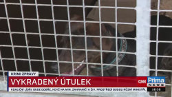 KRIMI ZPRÁVY, 16.2. v 16:30